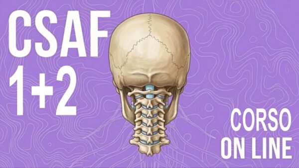 CSAF 1+2 = Anatomia e Fisiologia nella CST