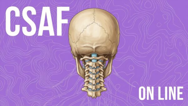 CSAF